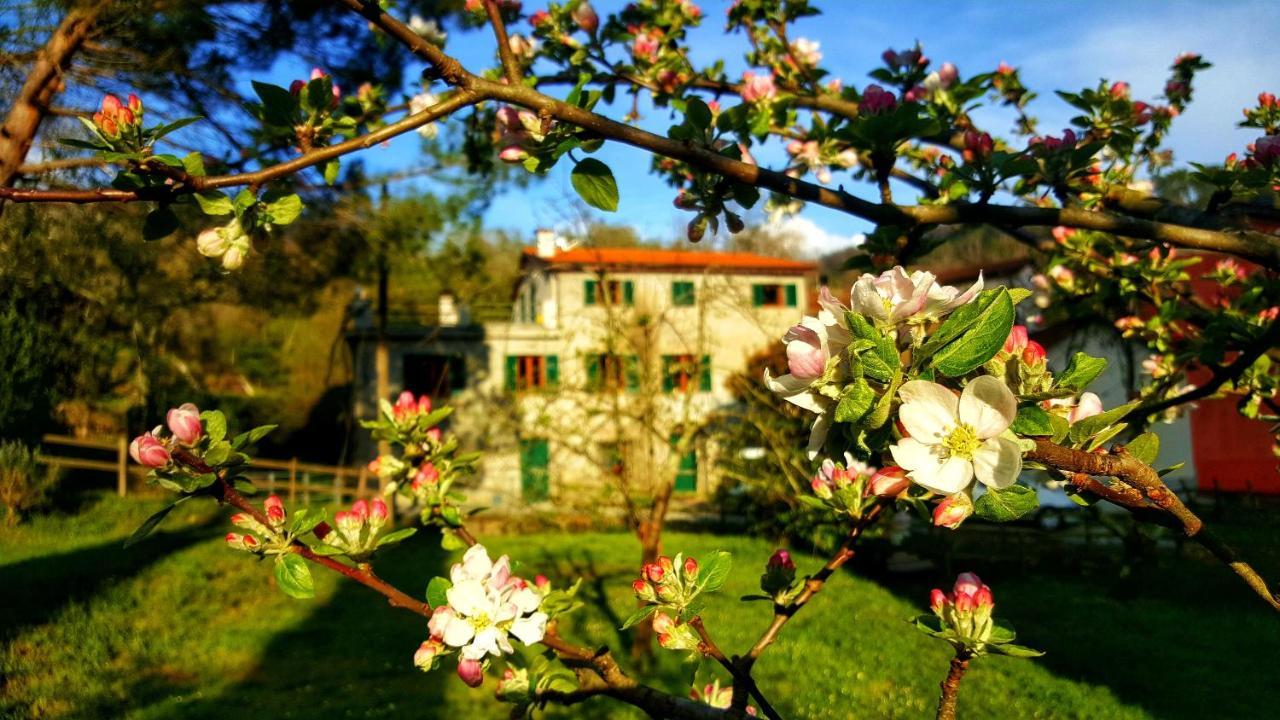 B&B Tre Ponti Castiglione Chiavarese Εξωτερικό φωτογραφία