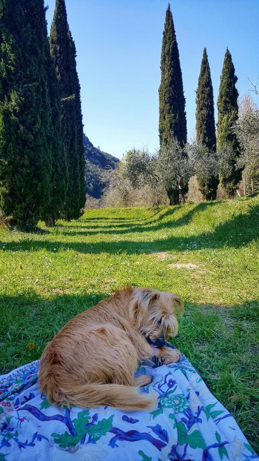B&B Tre Ponti Castiglione Chiavarese Εξωτερικό φωτογραφία
